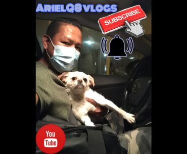 Early sunrise walk at seaside cardio exercise and vitamin D with my shitzu pet dog