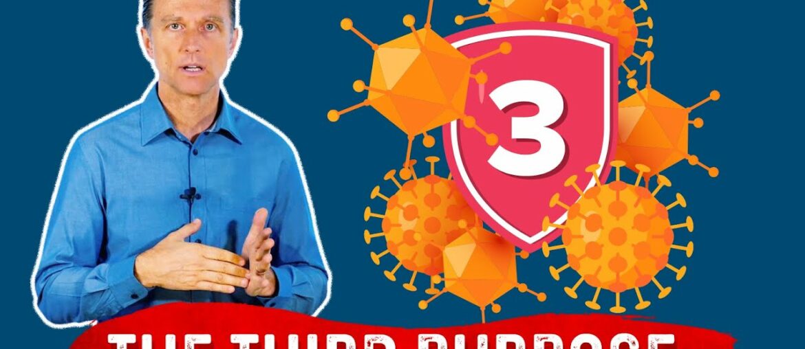 The 3rd Purpose of Your Immune System