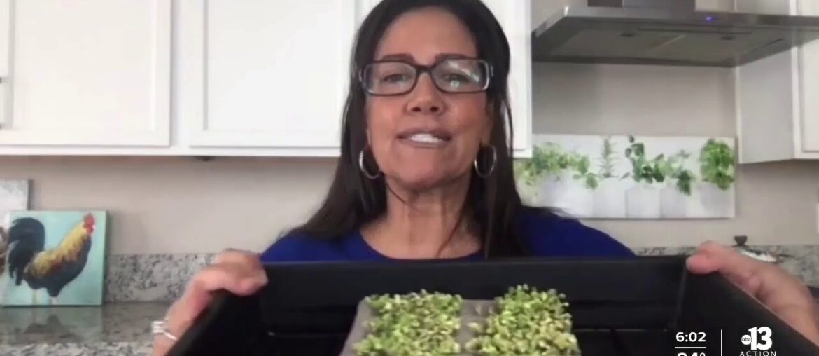 How to tell the difference between COVID-19, flu, allergies and the common cold