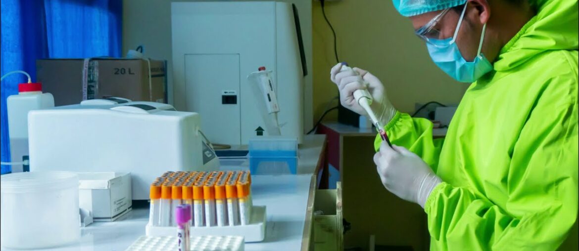 Corona virus. Which temperature does it like?