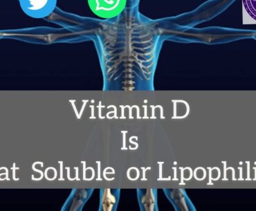 How to Get Strong Bones- At Any Age