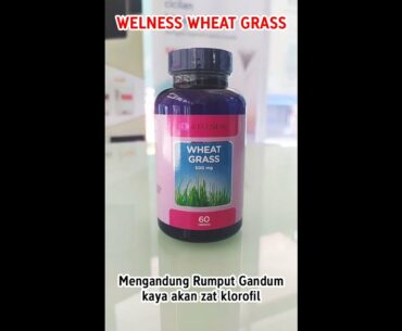 WELLNESS Wheat Grass untuk Kesehatan Jantung & Aliran Darah