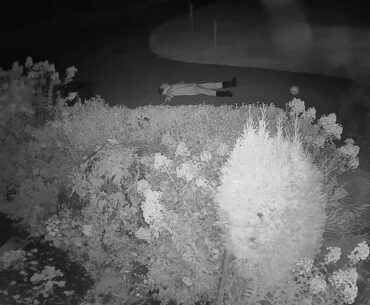 2020 10 16   Coronavirus Attack 11