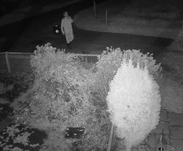 2020 10 13   Coronavirus Dance 34