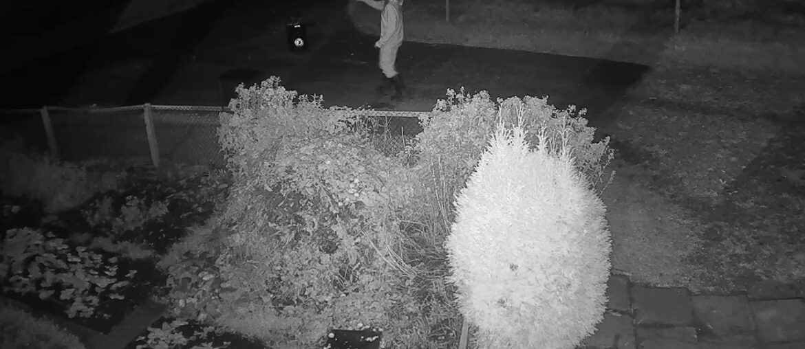 2020 10 14   Coronavirus Dance 35