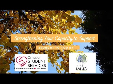 Strengthening Your Capacity to Support Introduction to Series