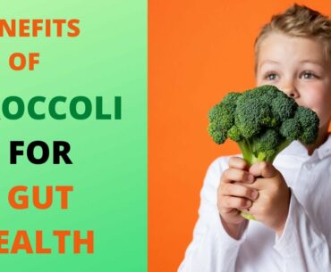 BENEFITS OF EATING  BROCCOLI FOR THE GUT HEALTH| BETTER DIGESTION | MULTIVITAMIN| GOOD PREBIOTICS
