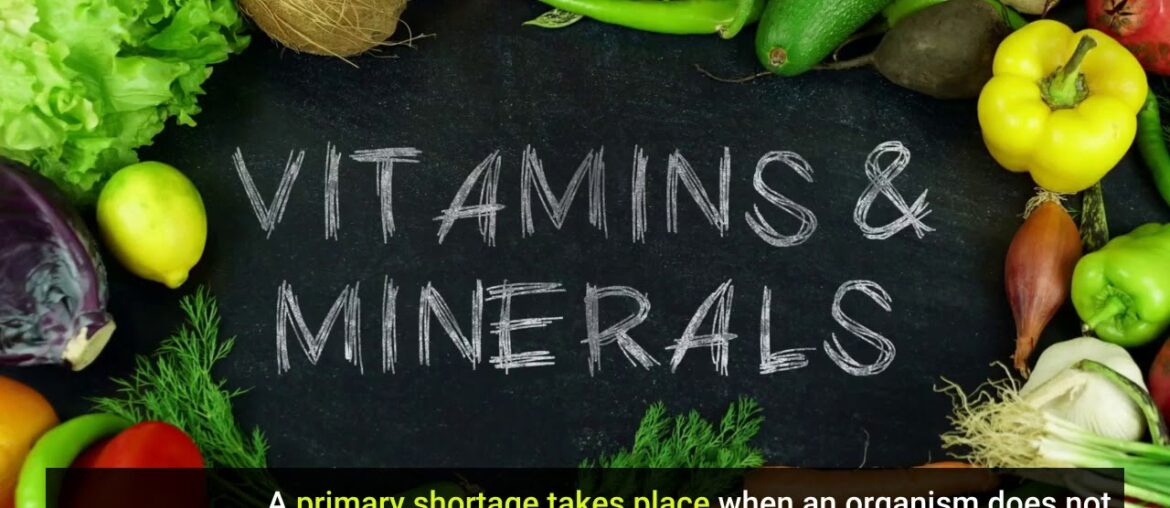 The Best Strategy To Use For Celebrate Vitamins Canada - Bariatric Supplements and Protein