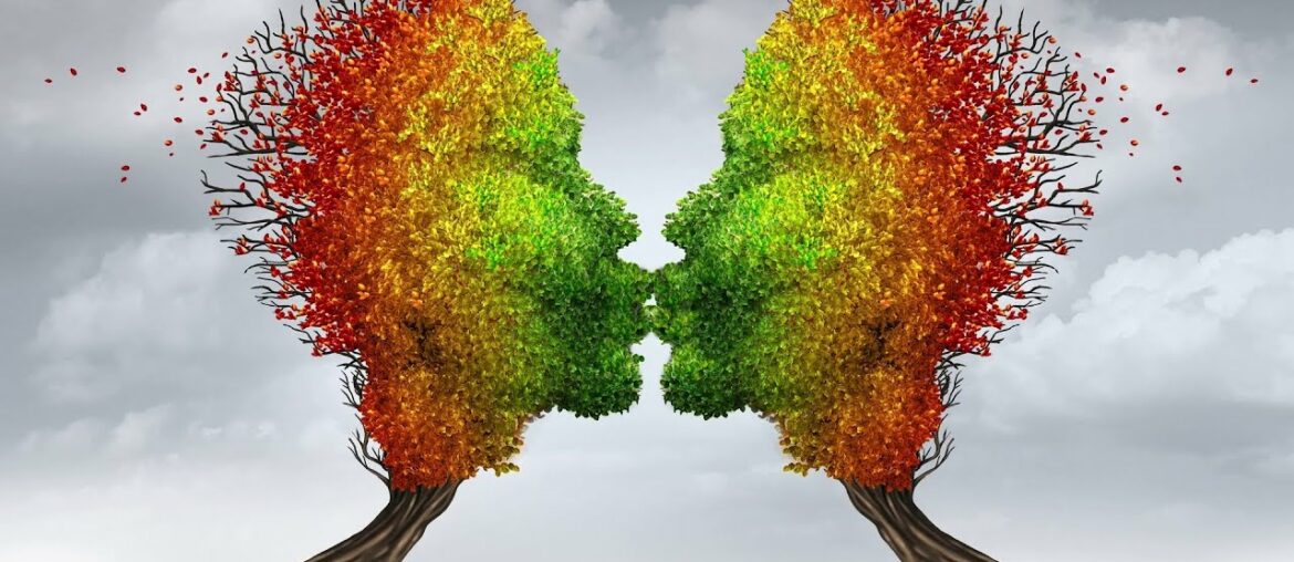 Halal Herbal and Dietary Supplements | Ar-Rahmah Pharm