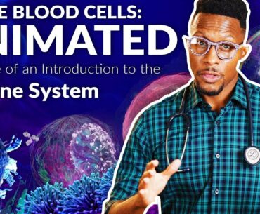 White Blood Cells Animated: The Innate Immune System 1/3 of a Three Part Introduction