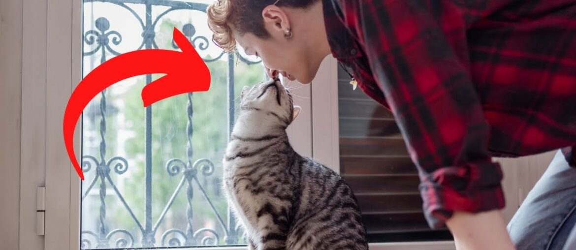 Cat Owners May Have Higher Immunity For COVID 19