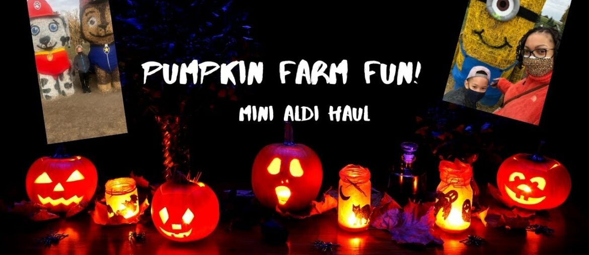 Hello Fall | Pumpkin Farm Visit | Aldi Haul