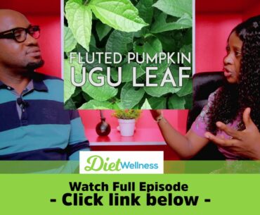 What about UGU LEAF?... | Diet Wellness EPISODE 3 Highlights