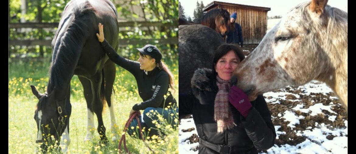 The Top 6  Equine Nutrition Deficiencies | Equine Nutrition Therapy: What You Need To Know