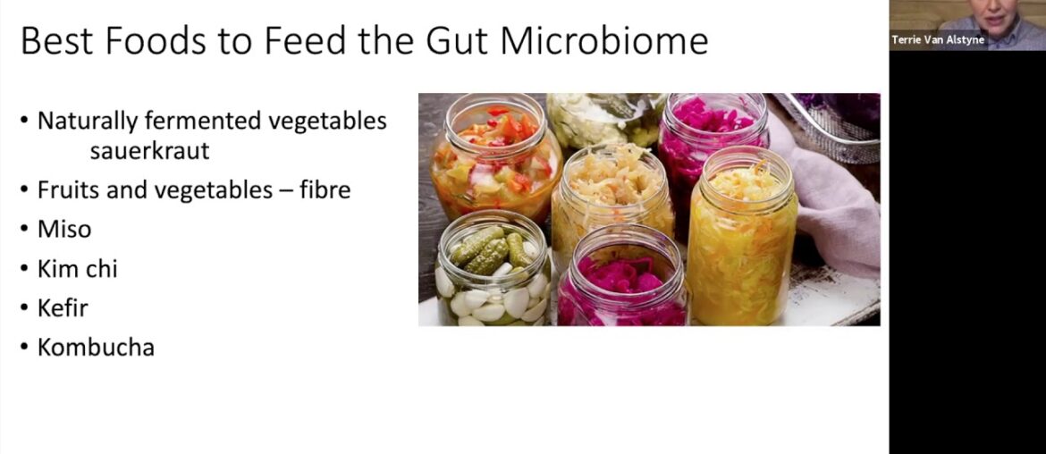 Protect your Immune System Naturally with Dr. Terrie Van Alstyne