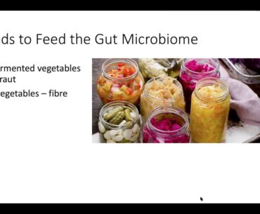 Protect your Immune System Naturally with Dr. Terrie Van Alstyne