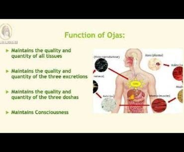 Dr. Don Brennan presents: how to strengthen immunity to prevent the Coronavirus.