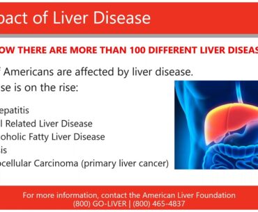 Liver Wellness (October 2020)