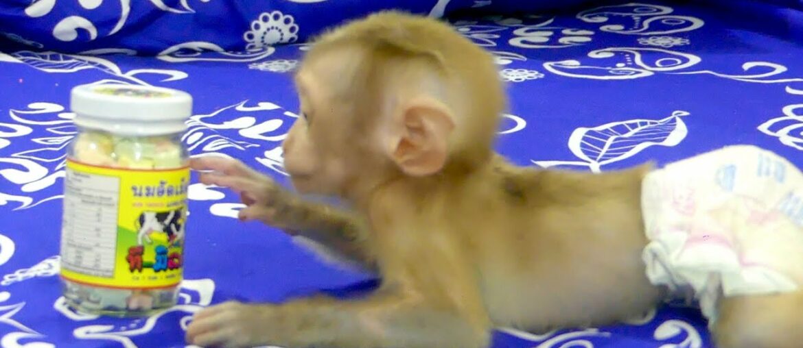 Dad Is Giving The Baby Dude Vitamins To Eat Of Health