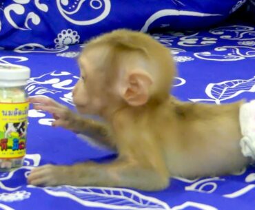 Dad Is Giving The Baby Dude Vitamins To Eat Of Health