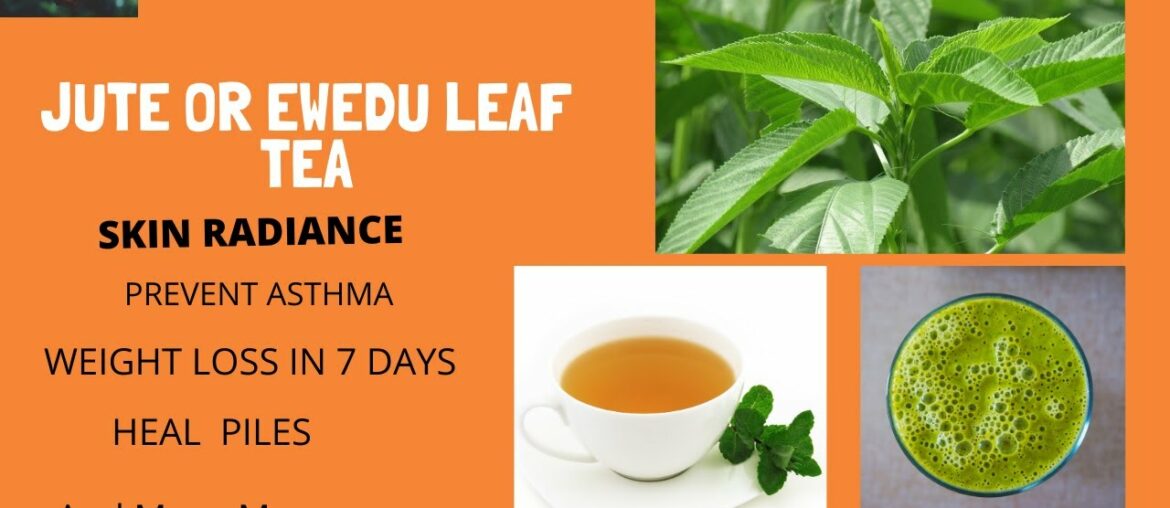 JUTE LEAVES: FOR PILES, SKIN BEAUTY, ASTHMA, INFERTILITY AND CONSTIPATION