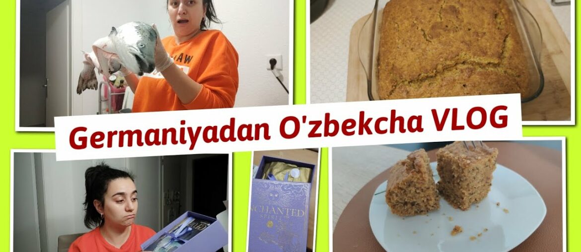 BALIQ BN JANG/SABZIDAN PIROG/BOLALAR UCHUN BEPUL VITAMIN D/BEAUTY BOX