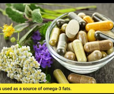 Not known Details About Vitamins and Supplements Offered at 501 Pharmacy