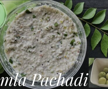Amla Pachadi/Gooseberry Pachadi | Healthy and Nutritious recipe | Immunity Booster