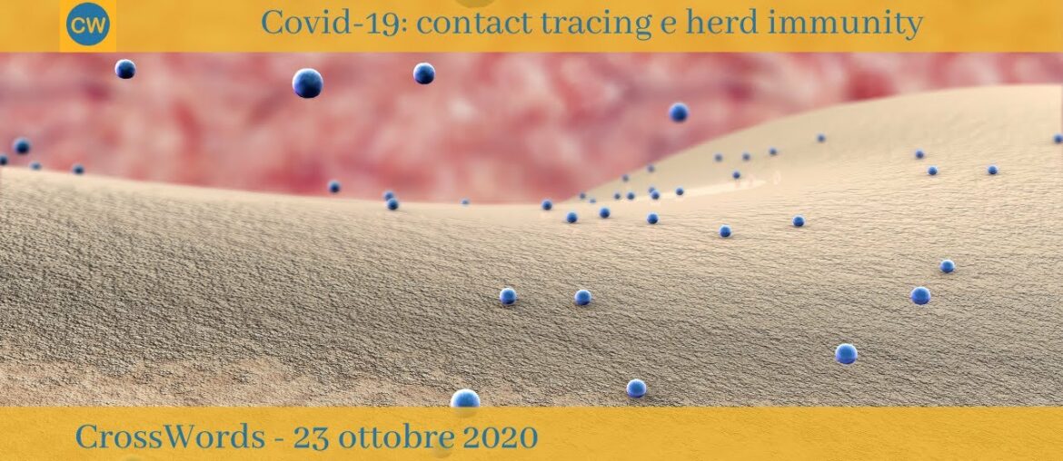 Covid-19: Contact Tracing & Herd Immunity