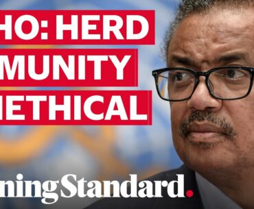 WHO chief slams herd immunity response to coronavirus pandemic as 'unethical'