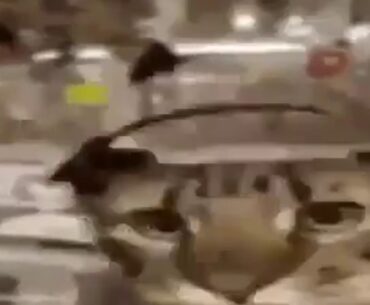 paracetamol sonata u vitamin c skalu