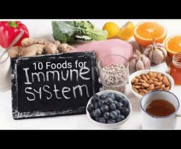 10 Best Food For Immune System
