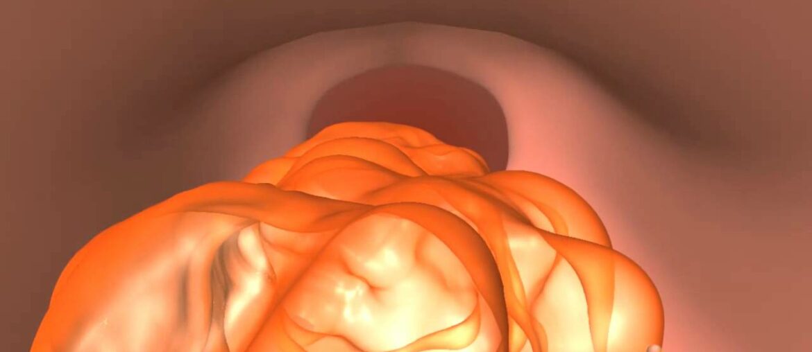 MaxHealthLabs Liposomal Vitamins and Supplements