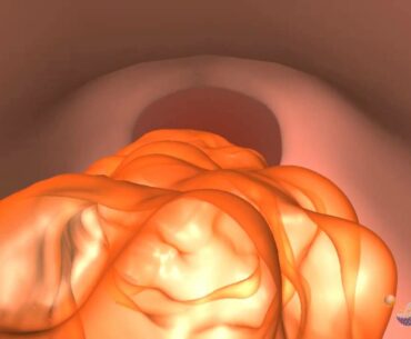 MaxHealthLabs Liposomal Vitamins and Supplements