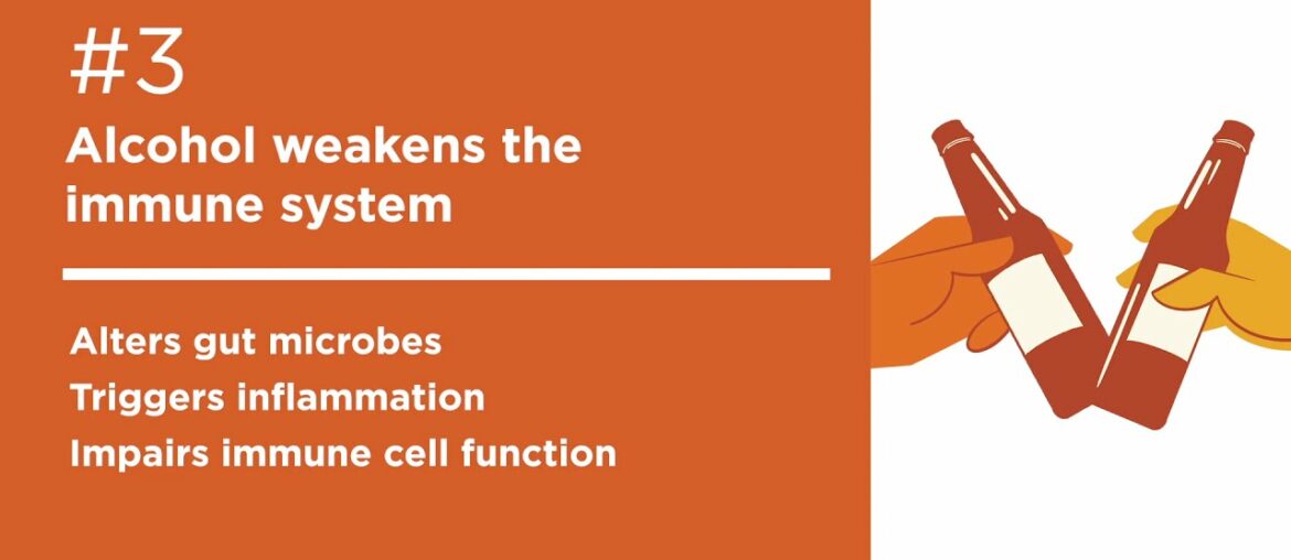 What Weakens the Immune System?