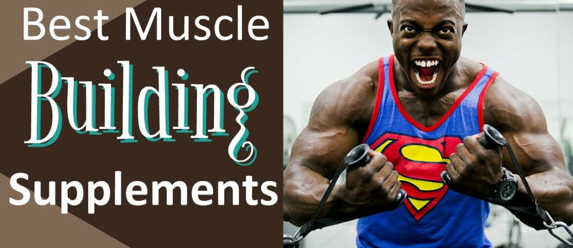 Best Muscle Building Supplements