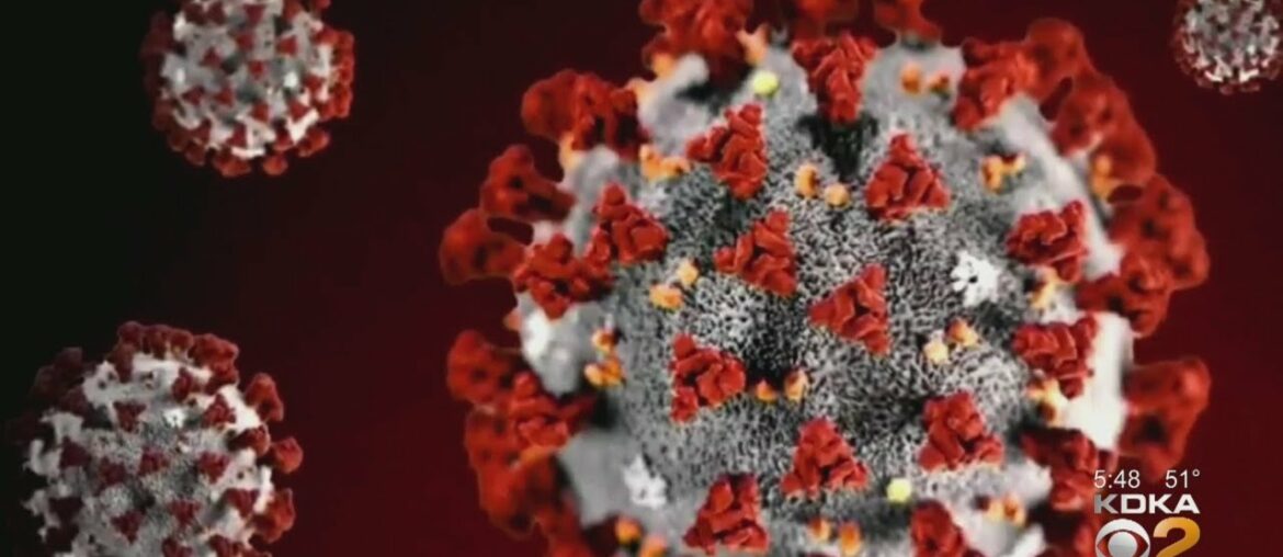 New Evidence Suggests COVID-19 Antibodies Wane Over Time