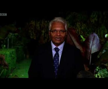 Coronavirus Q&A -- how did the Spanish Flu pandemic end?