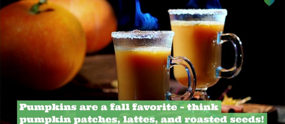 Pumpkin Nutrition: 5 Health Benefits You Didn't Know!