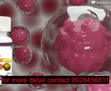 Vitamin supplements for men | VITADOC Capsule Product Details & Benefits - Awpl Education