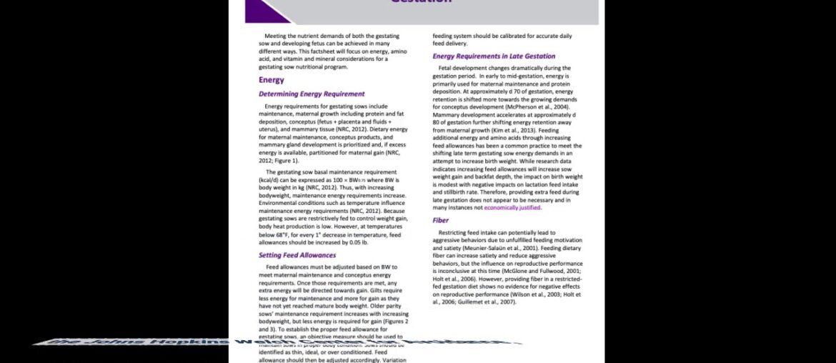 See This Report on Vitamin and Mineral Supplement Fact Sheets