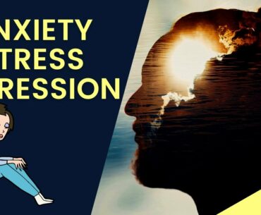 Mental Health Battles? Supplements For Anxiety, Stress and Depression You Need!