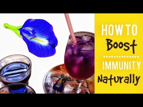 BEST NATURAL IMMUNITY TEA