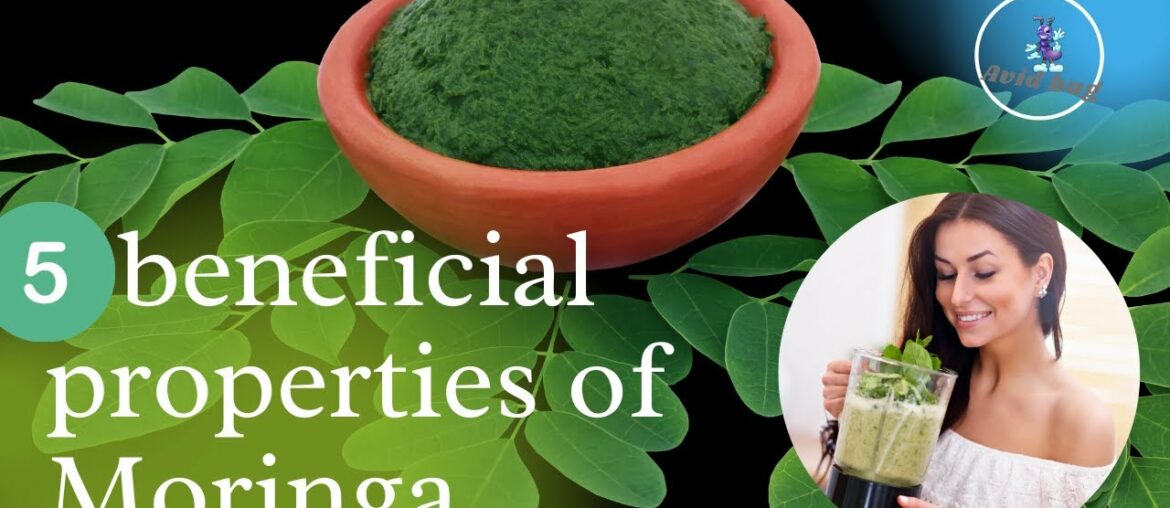 5 beneficial properties of Moringa oleifera