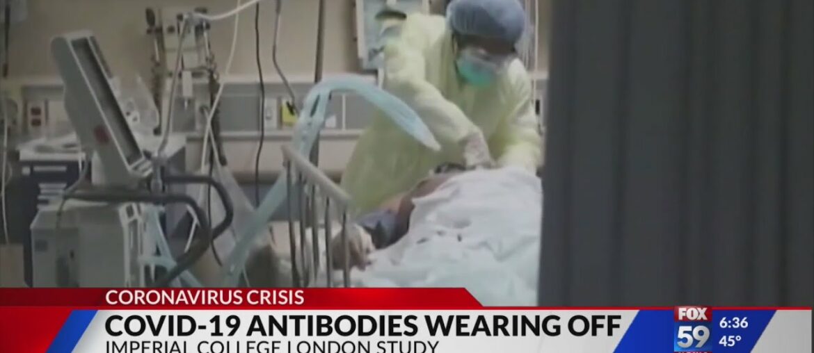 Study suggests short window for COVID-19 immunity