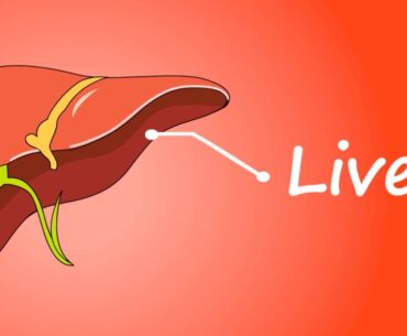 Vitamin K: Good sources of vitamin k & How much vitamin k do I need?