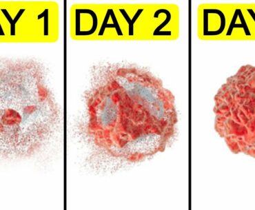 5 Healthy ways to strengthen your immune system