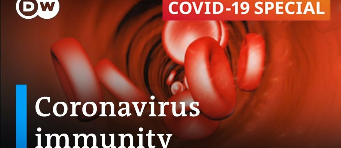 How long does immunity against the coronavirus last? | COVID-19 Special