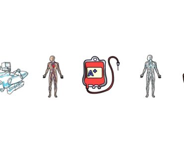 Silver Flower and Golden Flower for Boosting the Immune System