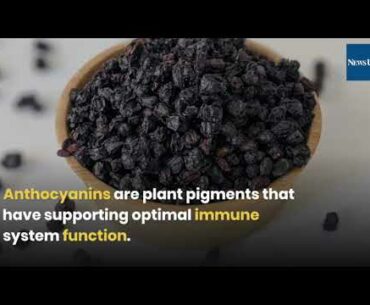 Herbal Elderberry Supplements Support Sleep and Immunity | NewsUSA TV | Health